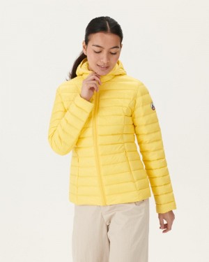 JOTT Cloe Lightweight Hooded Ženske Donje Jakne Svijetlo Žute | ESQ-9087