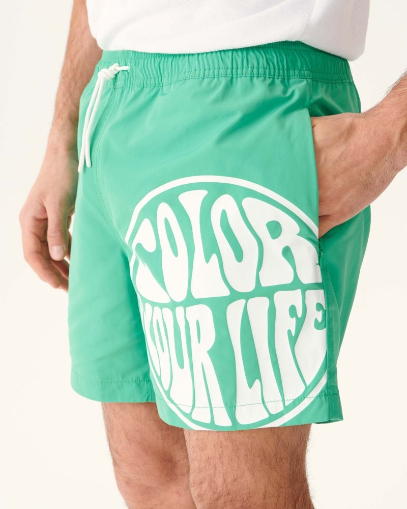 JOTT Biarritz Muške Swim Shorts Zelene Bijele | INV-6438